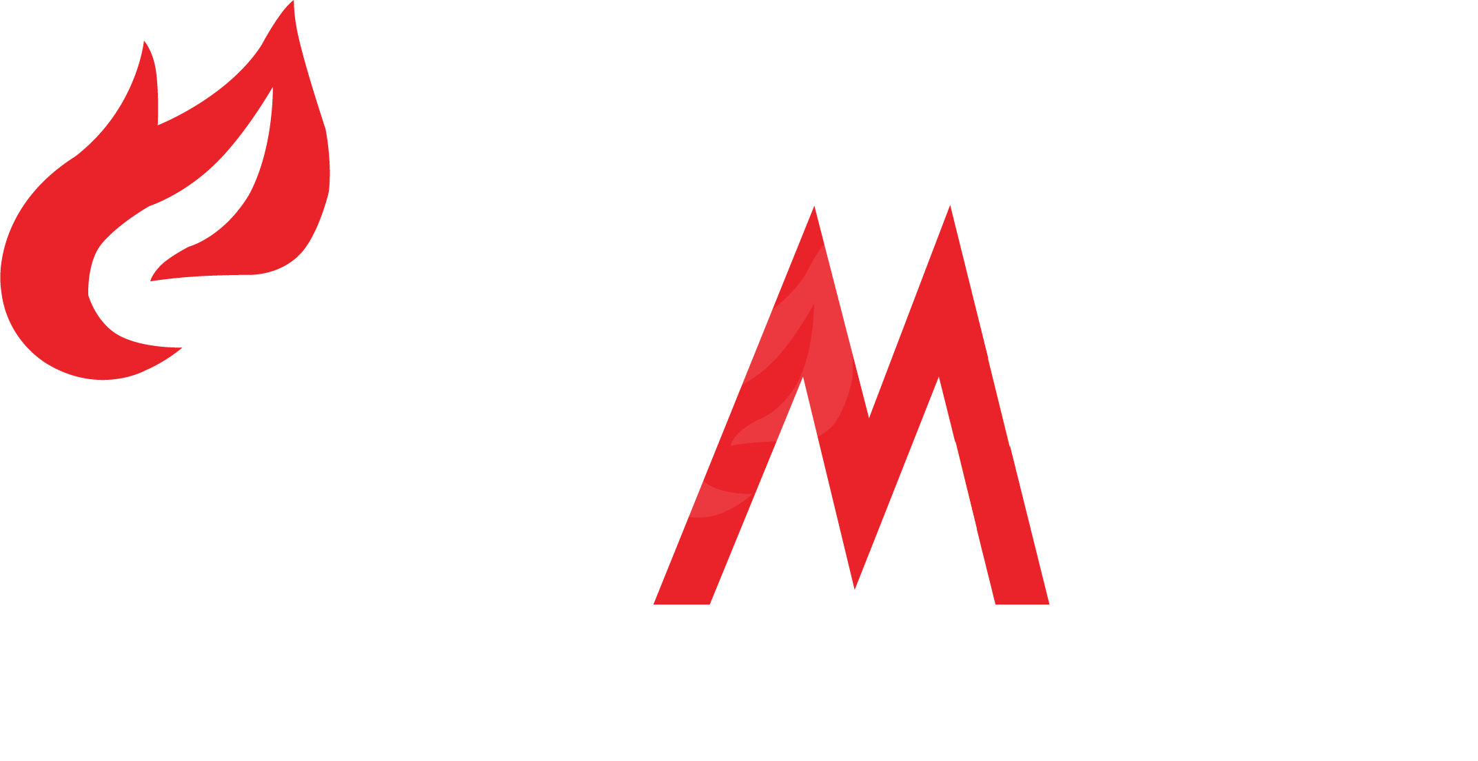 https://www.flammabv.nl/wp-content/uploads/2021/11/logo-footer.png